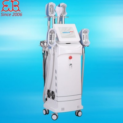 360 Angle Cryolipolysis Cost Fat Freezing/Cellulite Reducing Machine
